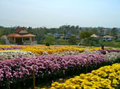 ศูนย์พัฒนาคุณภาพชีวิตผู้สูงอายุ อ.วังน้ำเขียว จ.นครราชสีมา